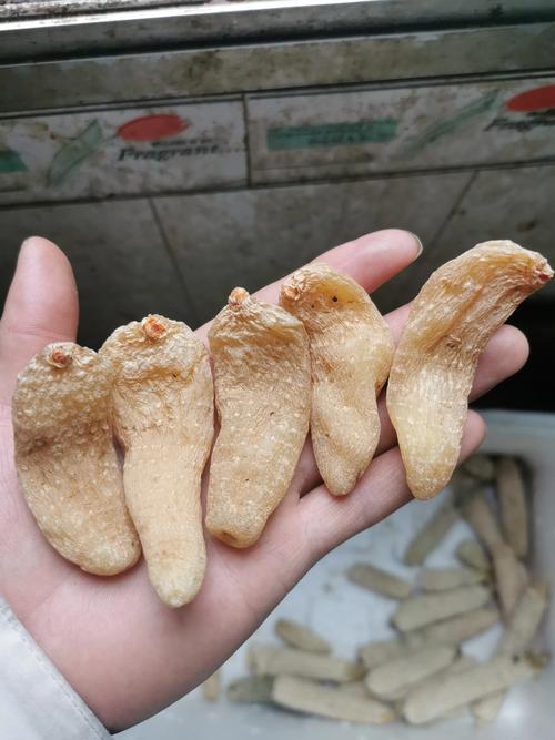 彝良土特产中的道地药材